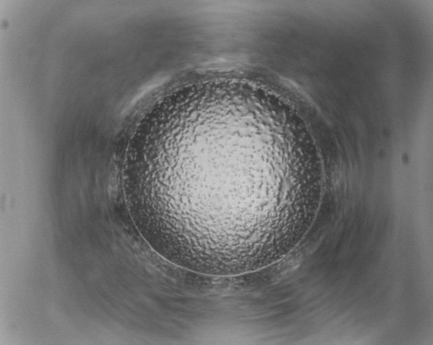 X0000058111350200509261225