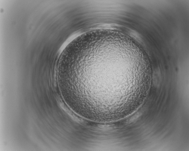 X0000058111378200509261224