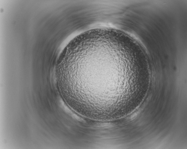 X0000058111382200509261224