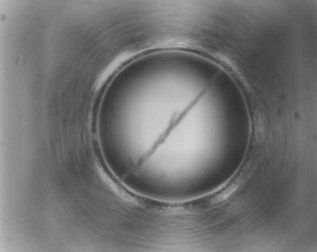 X0000058111422200509261224