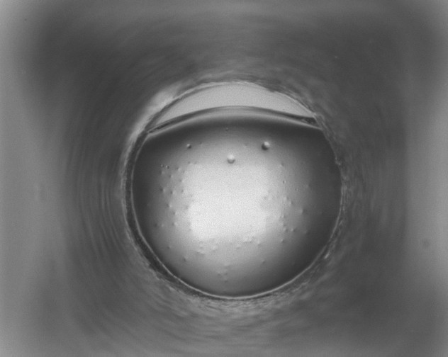 X0000058110006200509301913