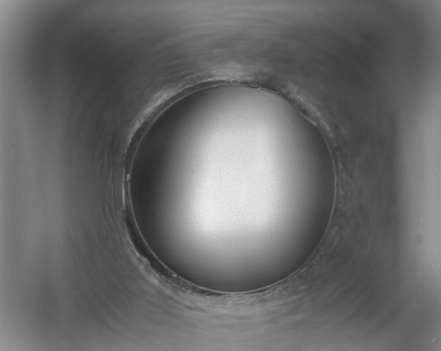 X0000058110011200509301912