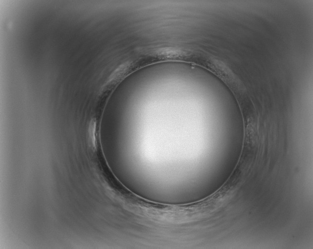 X0000058110024200509301912
