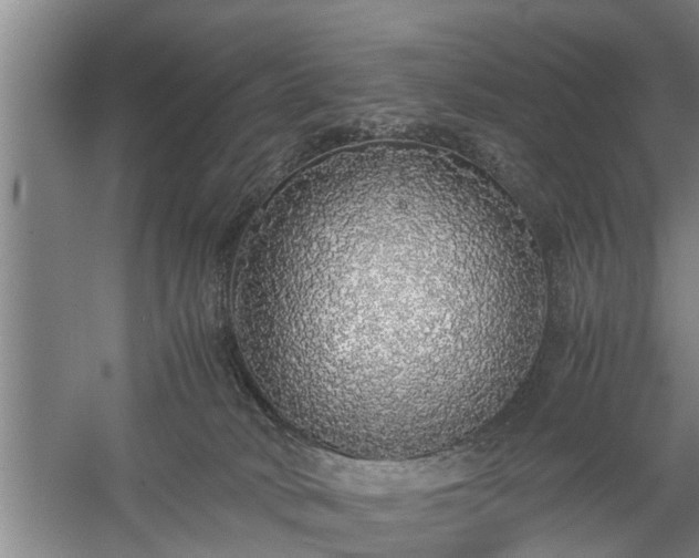 X0000058110034200509301912