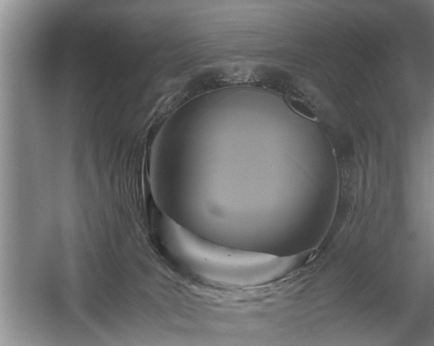 X0000058110035200509301912