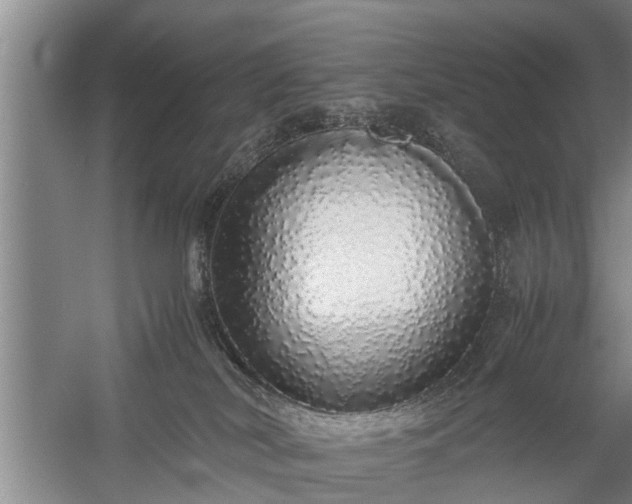 X0000058110038200509301912