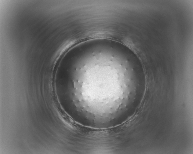 X0000058110050200509301911