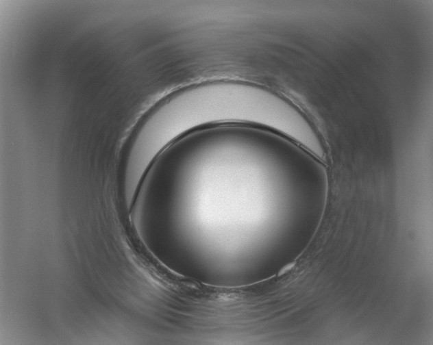 X0000058110060200509301911