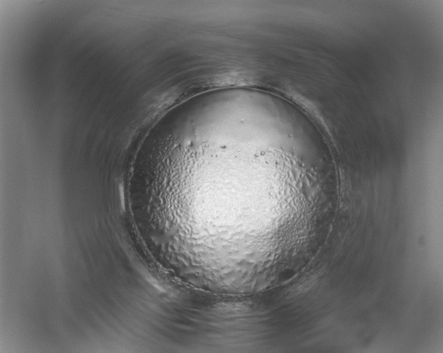 X0000058110061200509301911