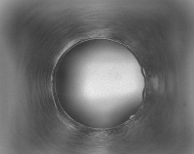 X0000058110100200509301911