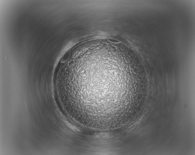 X0000058110102200509301911
