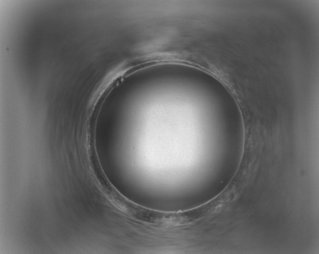 X0000058110103200509301911