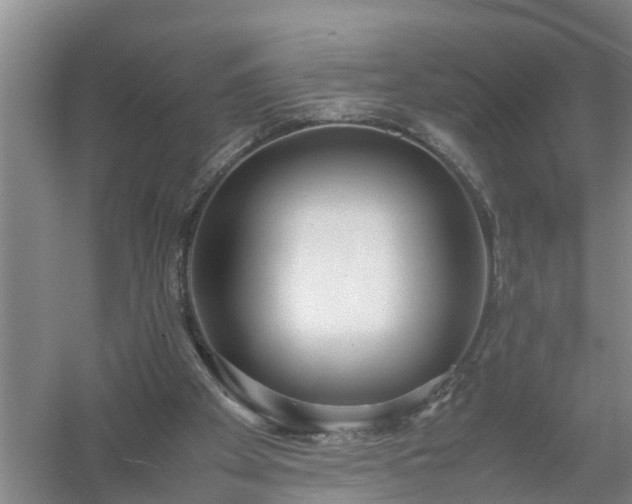 X0000058110105200509301911