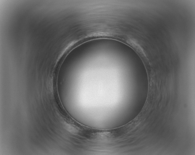 X0000058110108200509301911