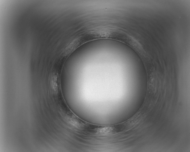 X0000058110122200509301911