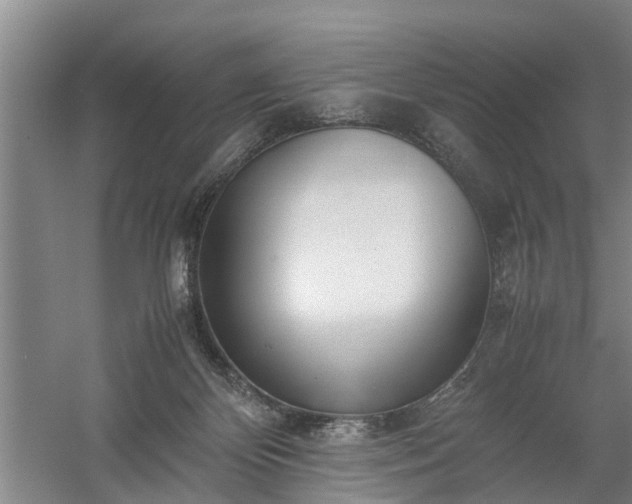 X0000058110124200509301910