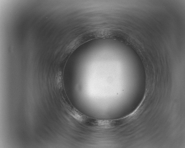X0000058110144200509301910