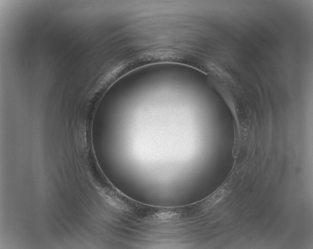 X0000058110158200509301910