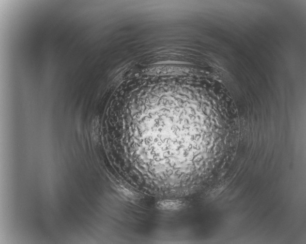 X0000058110189200509301910