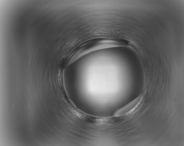 X0000058110192200509301910