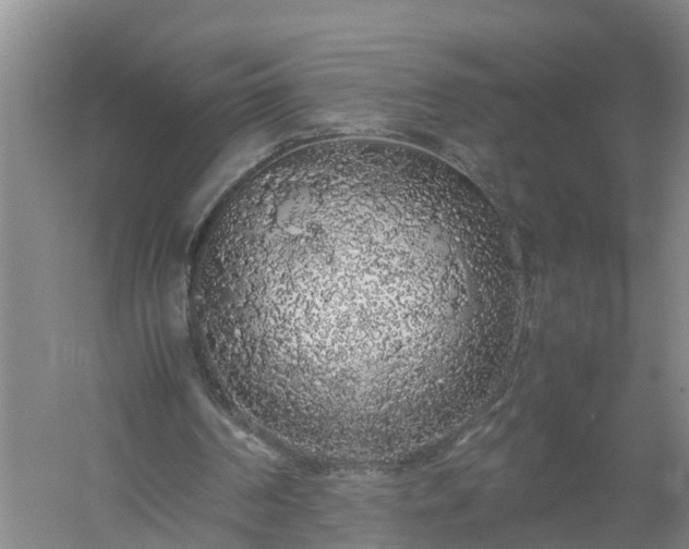 X0000058110194200509301909