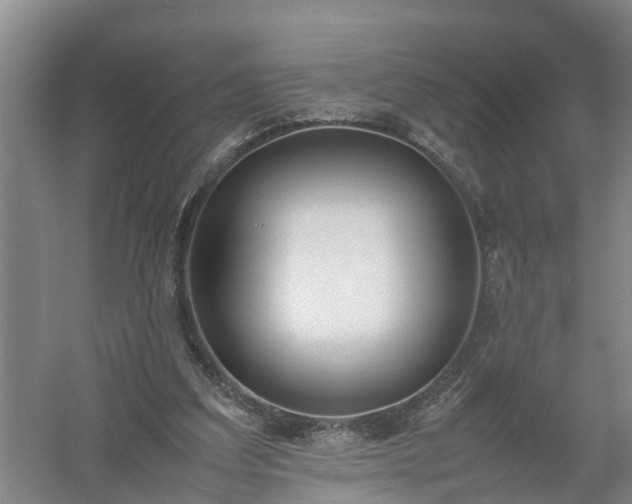 X0000058110203200509301909