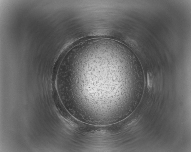 X0000058110204200509301909