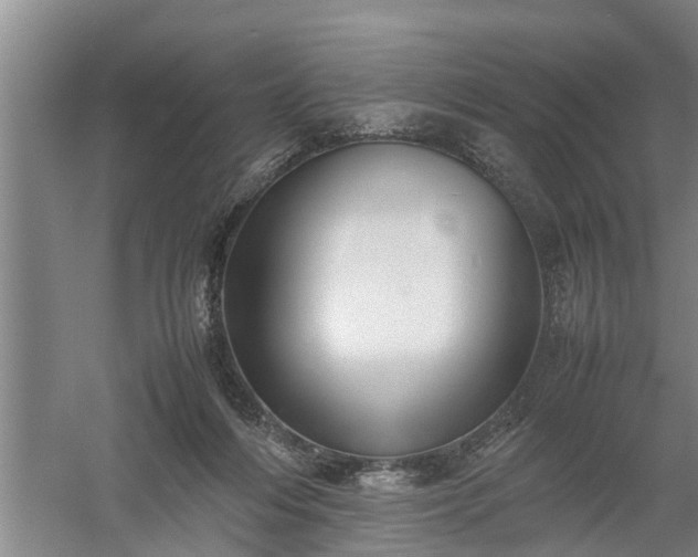 X0000058110216200509301909