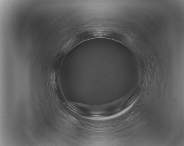 X0000058110219200509301909