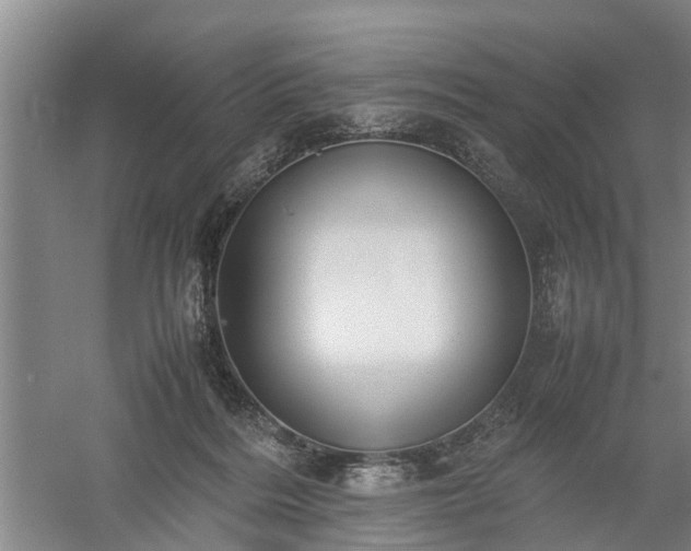X0000058110220200509301909