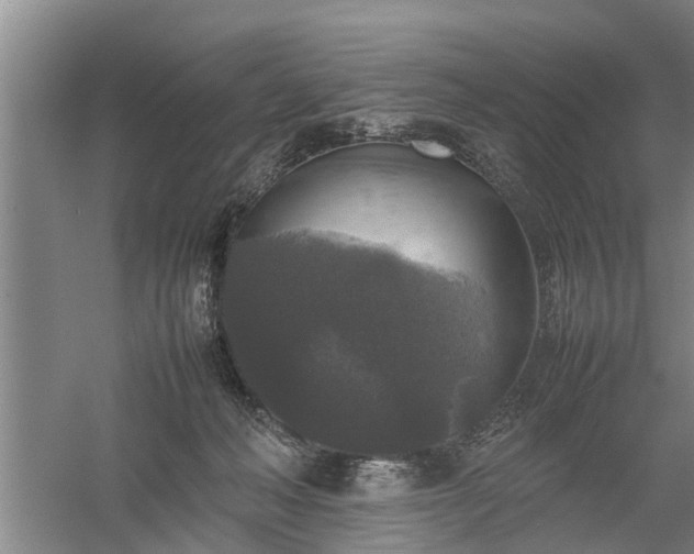 X0000058110222200509301909