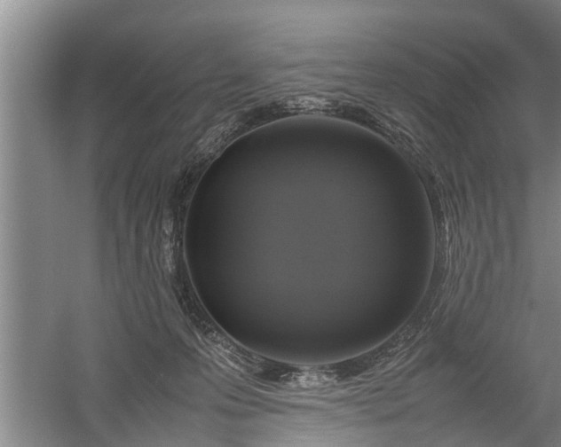 X0000058110223200509301909