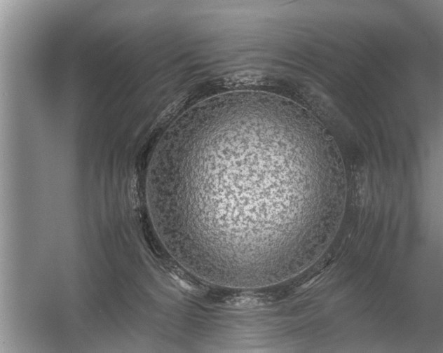 X0000058110224200509301909