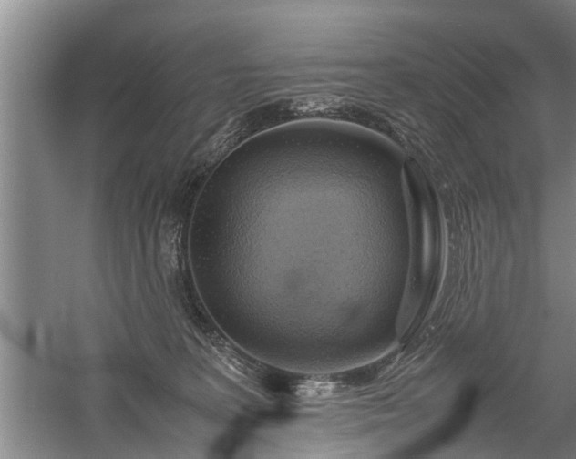 X0000058110227200509301909