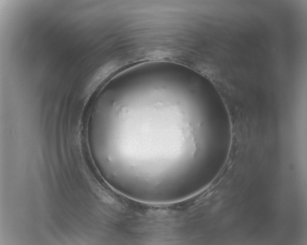 X0000058110242200509301908