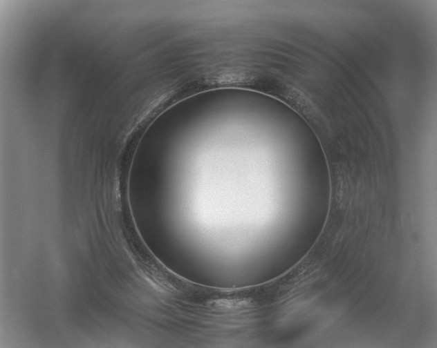 X0000058110251200509301908