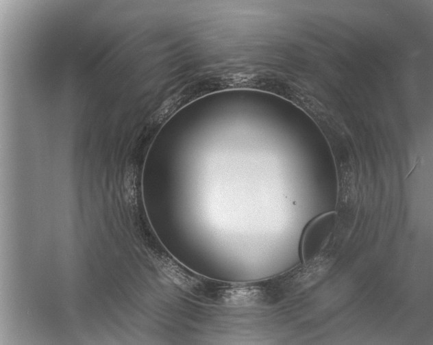 X0000058110274200509301908