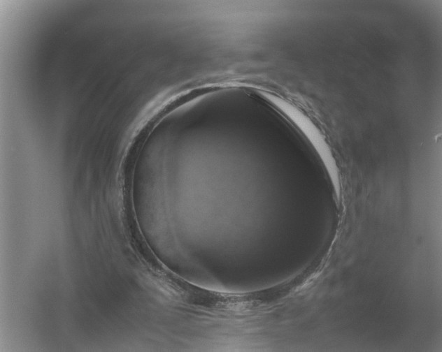 X0000058110295200509301908