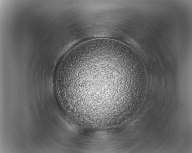 X0000058110298200509301908