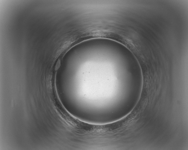 X0000058110299200509301908