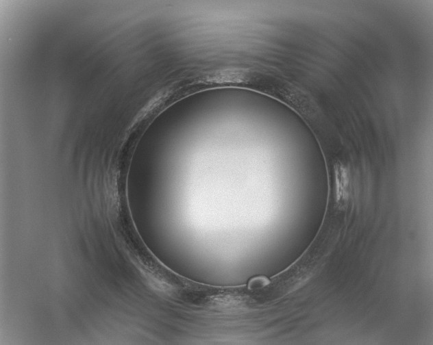 X0000058110300200509301907
