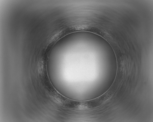 X0000058110308200509301907