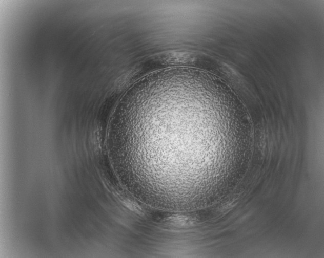 X0000058110326200509301907