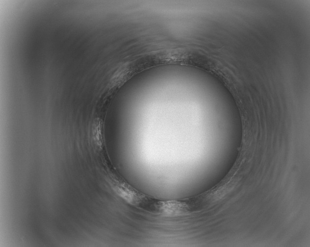X0000058110336200509301907
