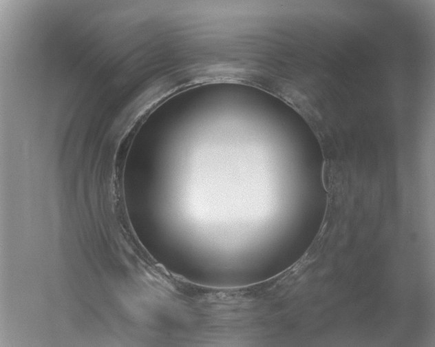 X0000058110338200509301906