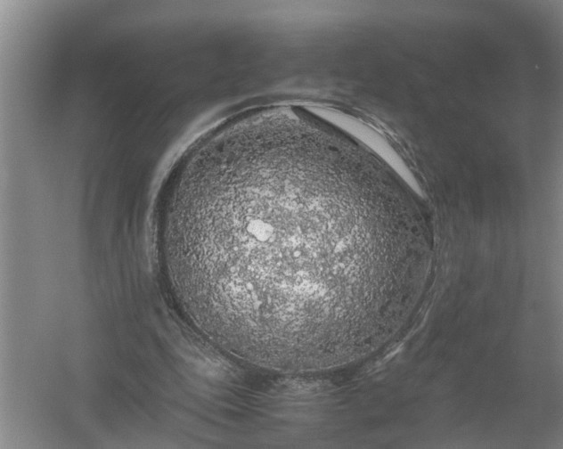 X0000058110343200509301906