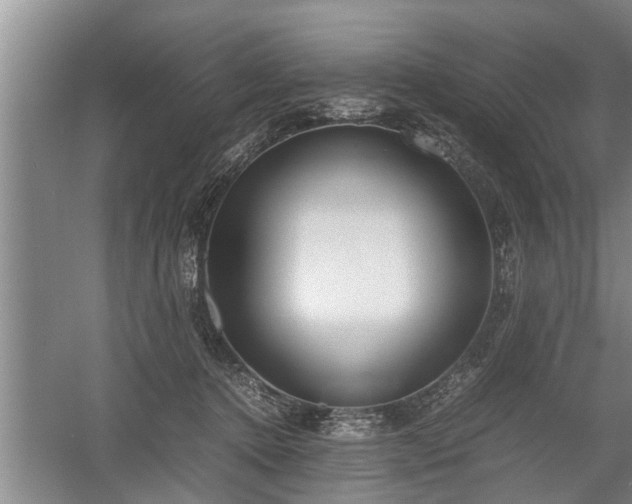 X0000058110368200509301907
