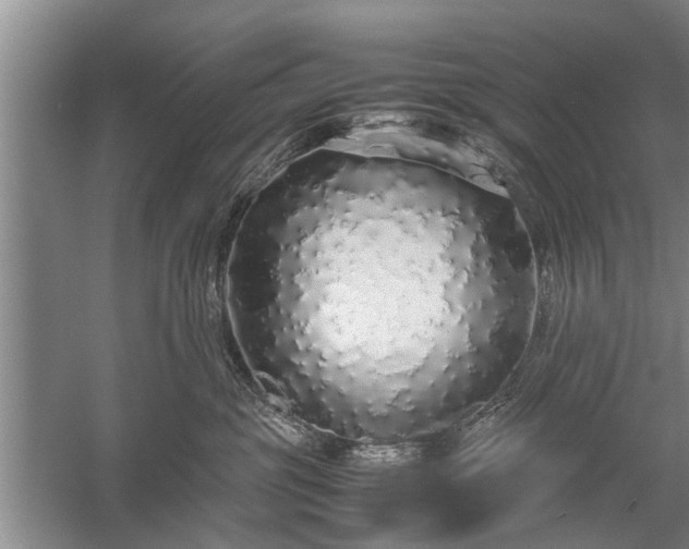 X0000058110381200509301907