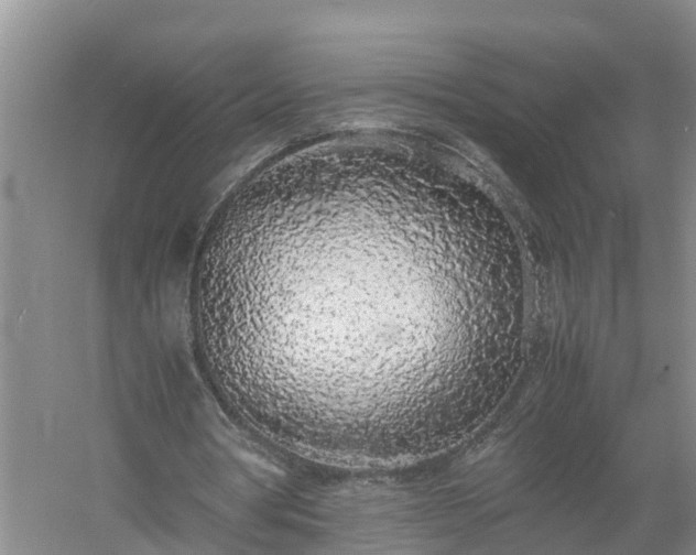 X0000058110386200509301906