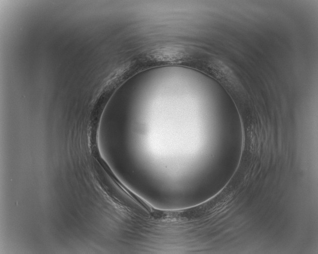 X0000058110404200509301906